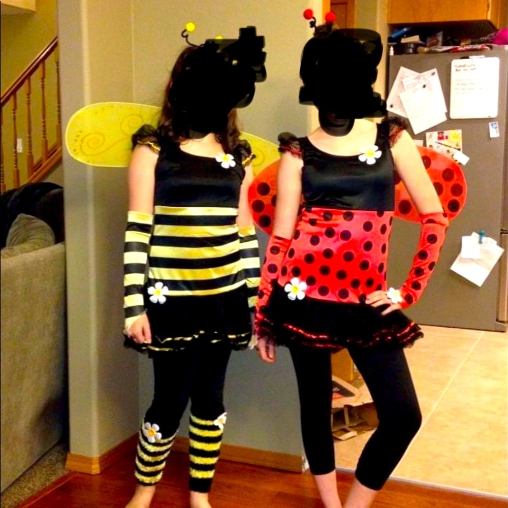 Ladybug and bumblebee costumes